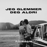 JEG GLEMMER DEG ALDRI