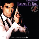 LICENCE TO KILL