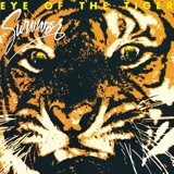 EYE OF THE TIGER